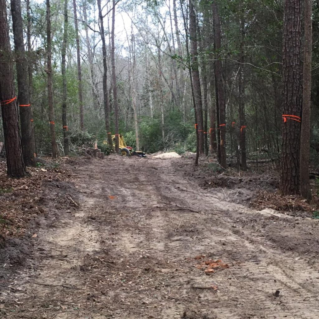 Lawn and Tree Services in Teague