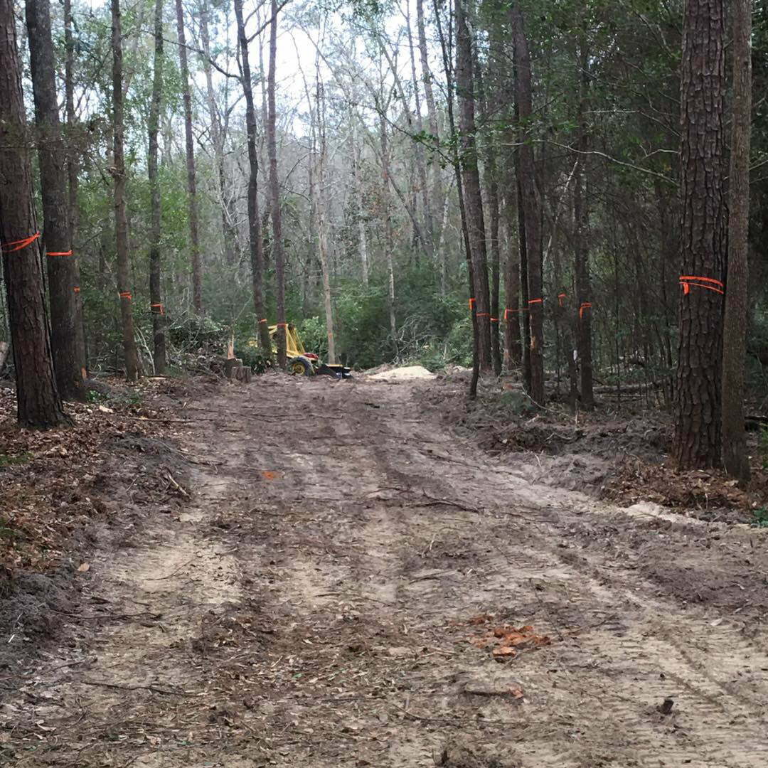 Lawn and Tree Services in Teague